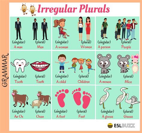 The answer is a relatively easy one, as grammar goes. Common Irregular Plural Nouns in English - ESLBuzz ...
