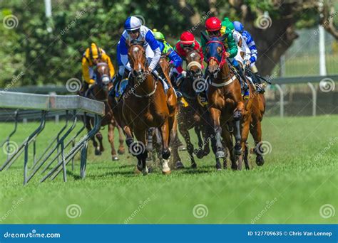 Race Horses Running Track Close Up Editorial Image Image Of Track