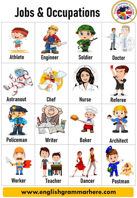 Jobs And Occupations Names With Pictures In English English Grammar Here