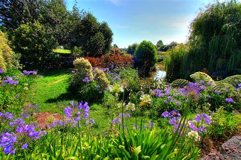 Desktop Hintergrundbilder Neuseeland Natur Garten
