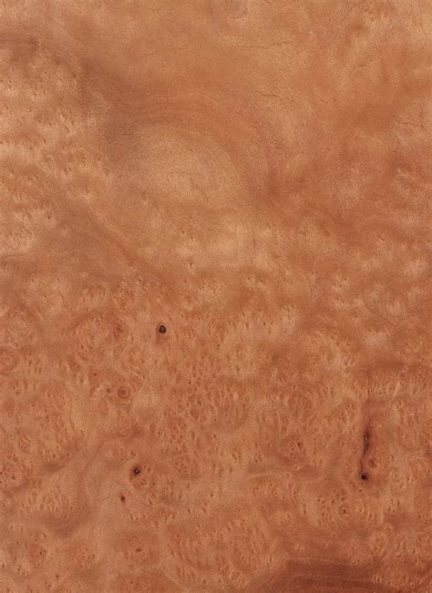 An Aerial View Of The Surface Of A Desert