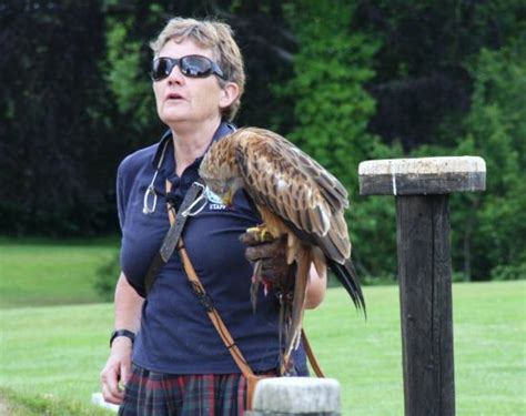 The International Centre For Birds Of Prey Newent Updated 2020 All