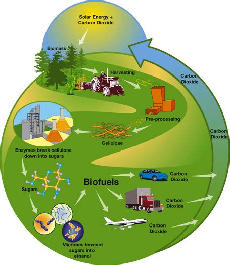 Bioenergy Refueling The Future