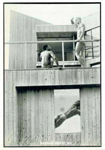 Postcard Tom Bianchi Pool Window Nude Men Hot Sex Picture