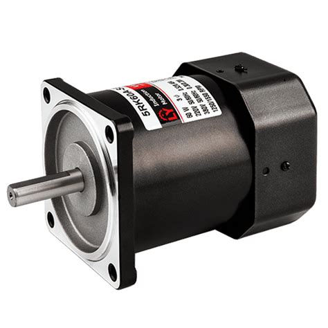 【reversible Motor】 6w Up To 150w For Choose Luyang Technology