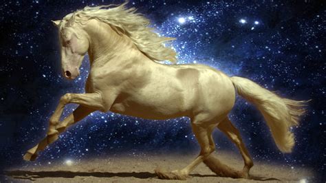 46 Hd Horse Wallpapers