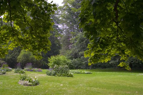 File:Park Muzakowski2.jpg - Wikimedia Commons