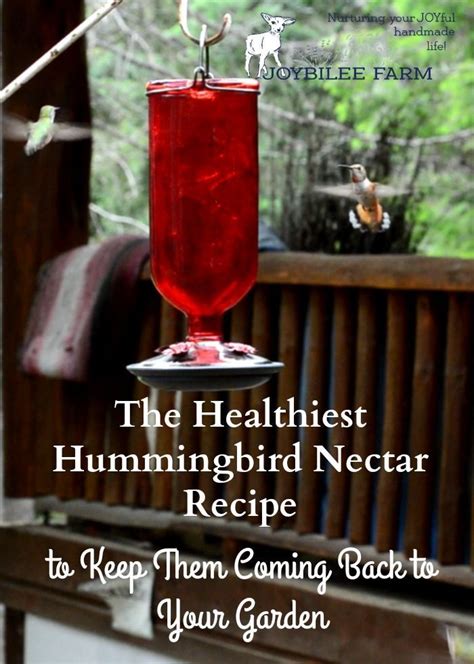Keep The Hummingbirds Coming Back Year After Year With This Healthy