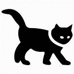 Icon Cat Pet Icons Animal Feline Cats