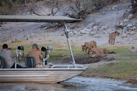 Chobe National Park Safaris Tailor Made Far And Wild Travel
