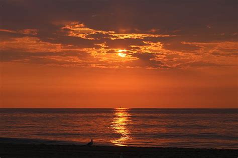 Riding The Reflection By Robert Banach Ocean City Sunrise Sunset Riding