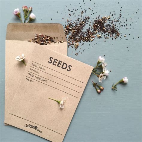 Pack Of 20 Seed Envelopes Plant Markers Envelope Seeds