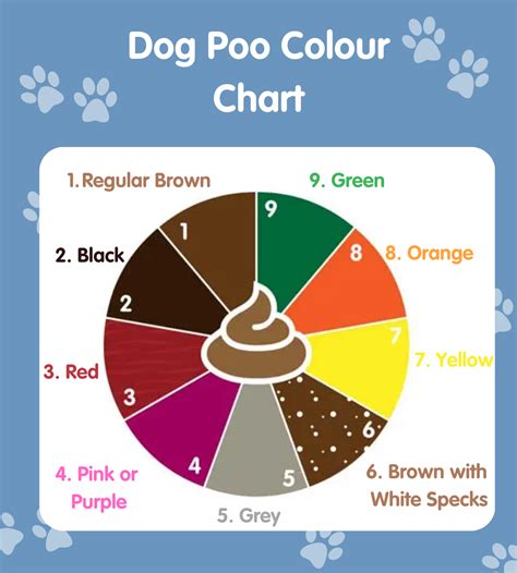 Dog Poop Color Chart Find Out What Each Color Means Dog Poo Chart