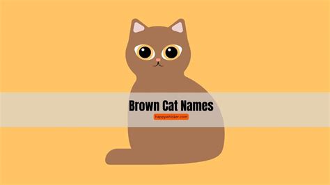 270 Brown Cat Names So Good Youll Want To Choose Two