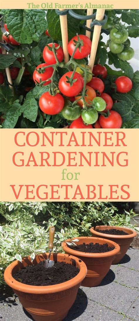 Container Vegetable Gardening For Beginners Container Gardening