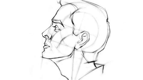 30 Best Drawing Tutorials Learn Drawing Techniques From Masters