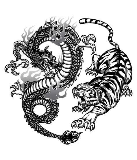 Tiger Tattoo Design Dragon Tiger Tattoo Dragon Tattoo Designs