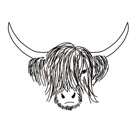 Highland Cow Line Drawing A4 Print Black And White Scottish Etsy Uk