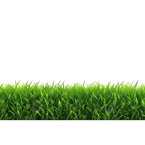 Bright Green Grass Border Isolated 3d Rendering Illustration Grass Isolated Nature Png
