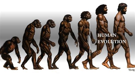 Std X Human Evolution Online Students Favourite Academy