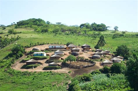 Zulu Homestead Houses For The Patriarch And His Wives And Other