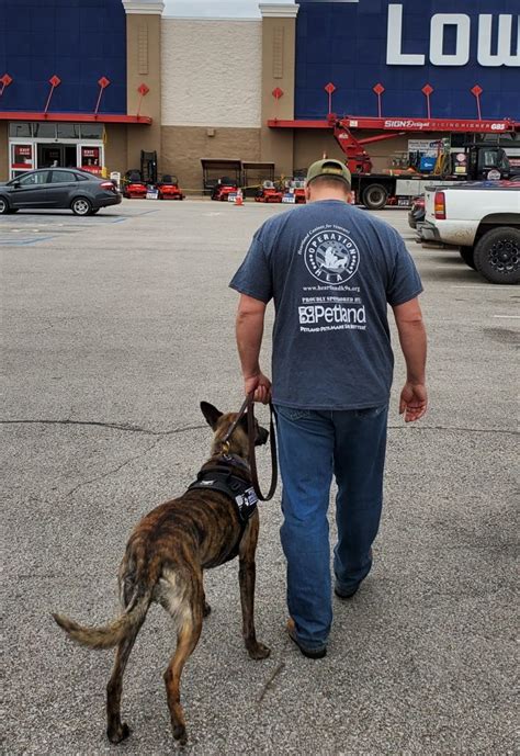 Interviews at phillips pet food & supplies. Petland, Petland Charities Raise $7,500 to Heartland ...