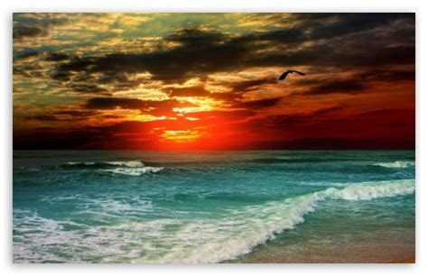 Tropical Sunset Ultra Hd Desktop Background Wallpaper For 4k Uhd Tv
