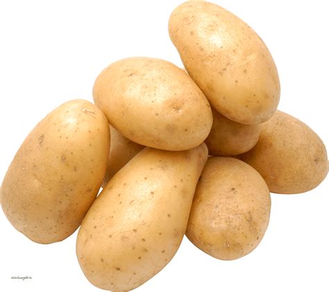Download Potato Png Images Pictures Download Hq Png I