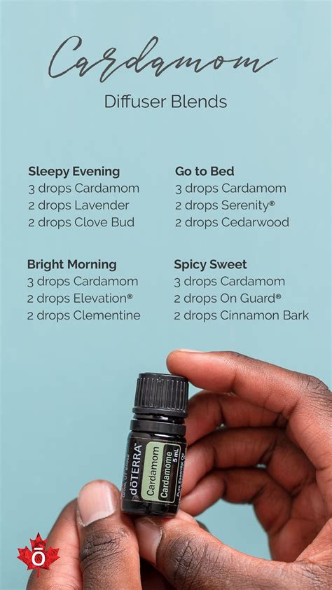 Cardamom Diffuser Blends