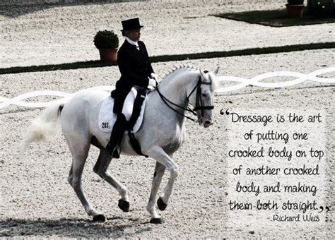 List 8 wise famous quotes about funny dressage: Not as easy as it looks :) | Cuddly animals, Horse riding ...