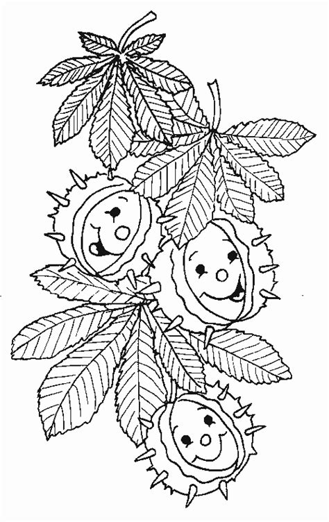 Őszi Színezők Fall Coloring Pages Halloween Coloring Pages Fall