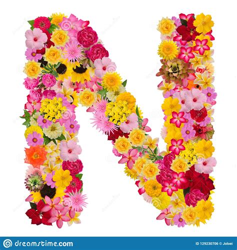 Alfabeto Da Letra N Com Tipo Do Conceito De Abc Da Flor Como O Logotipo