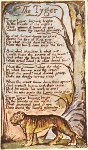 All About Blake The Tyger By William Blake
