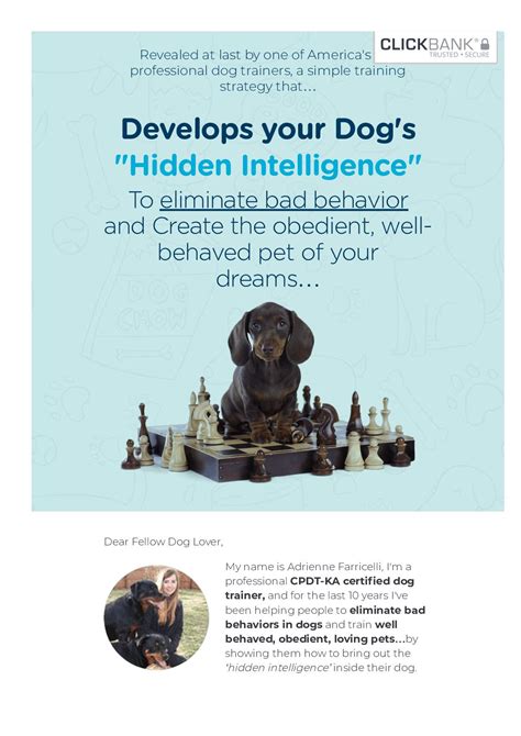 Calaméo Develops Your Dogs Hidden Intelligence To Eliminate Bad