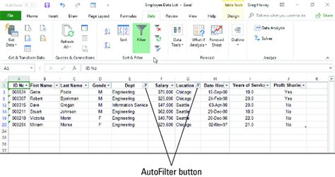 How To Use Autofilter In Excel Dummies