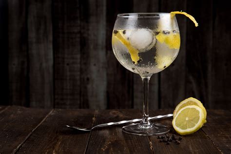 Gin selbermachen Mit Do-It-Yourself-Guide zum Traumgetränk