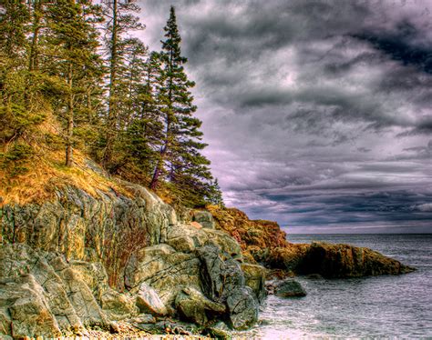 Image Hdr Crag Nature Spruce Trees