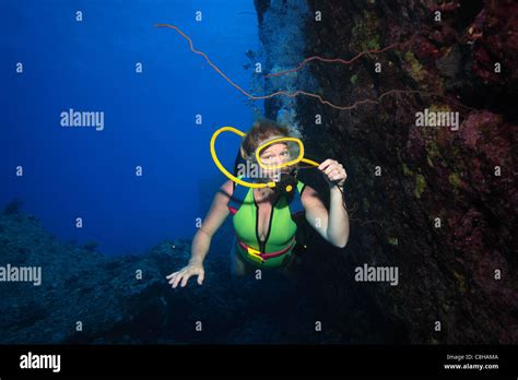 Sexy Scuba Diver Stock Photo Alamy