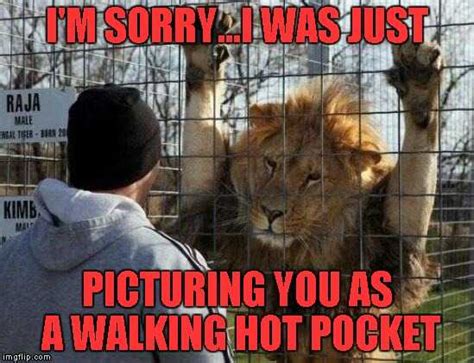 30 Funny Animal Memes Thats So Funny Youll Rofl
