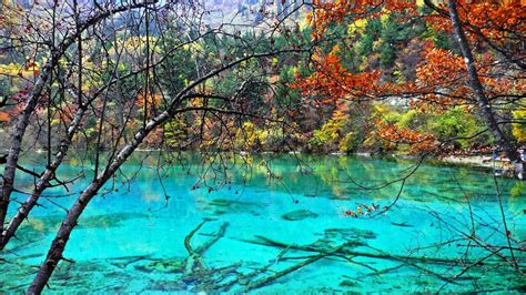 Danau Terindah Five Flower Lake Jiuzhaigou Valley China Kaskus