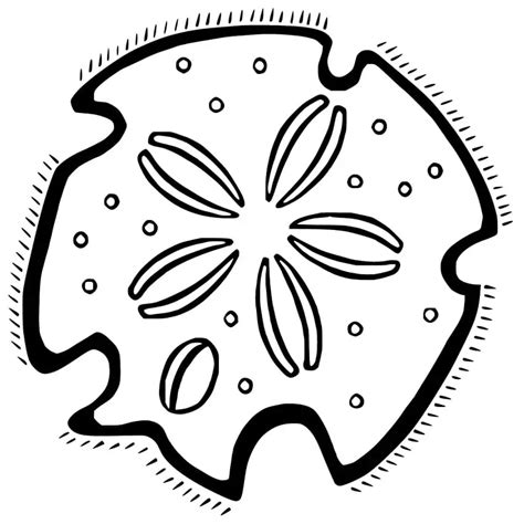 Free Sand Dollar Coloring Page Free Printable Coloring Pages For Kids