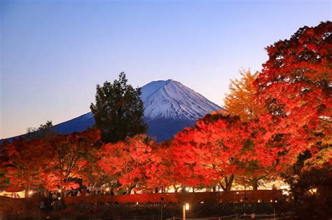 河口湖周辺の絶景おすすめ紅葉巡りスポット 富士緑の休暇村