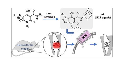 Design Synthesis And Physicochemical And Pharmacological Profiling Of