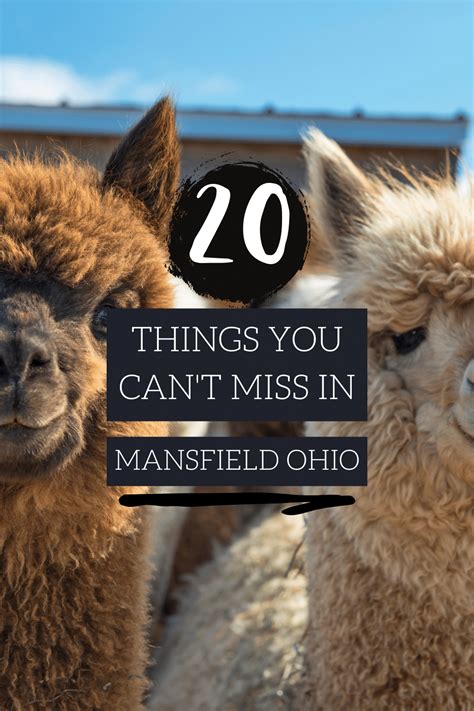 Things To Do In Mansfield Ohio 2023 Visit Ohio Today