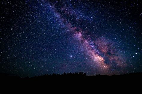 Nebulosa Noche Cielo Estrellado árboles Estrellas Fondo De