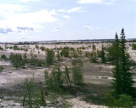 Athabasca Sand Dunes Uranium City 2023 What To Know Before You Go