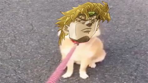 Dio Is Angry Pet Jojos Bizarre Meme Youtube