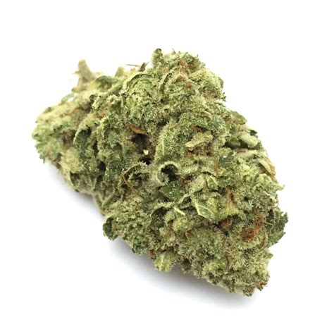 Silver Gorilla Glue Hybrid Cannabis Strain Flowkana Weed Pot Valet