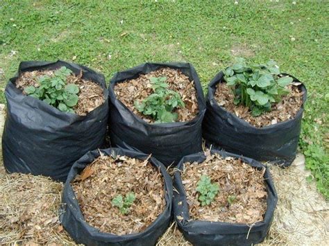 Make Your Own Potato Grow Bags Diy Projects For Everyone In 2021