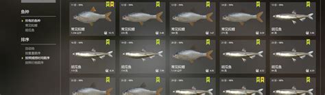 Maybe you would like to learn more about one of these? 【俄钓4已测点位分享】26图拉多加湖-常见拟鲤/胡瓜鱼/三刺鱼/湖鱥等(长期更新) - 哔哩哔哩